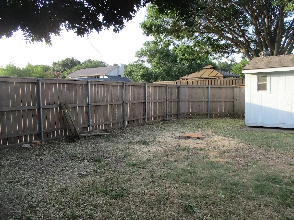 Cleared yard after professional tree removal in Coosawhatchie
